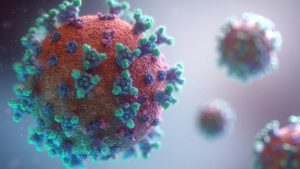 Lire la suite à propos de l’article Les sorties encore possibles en plein coronavirus